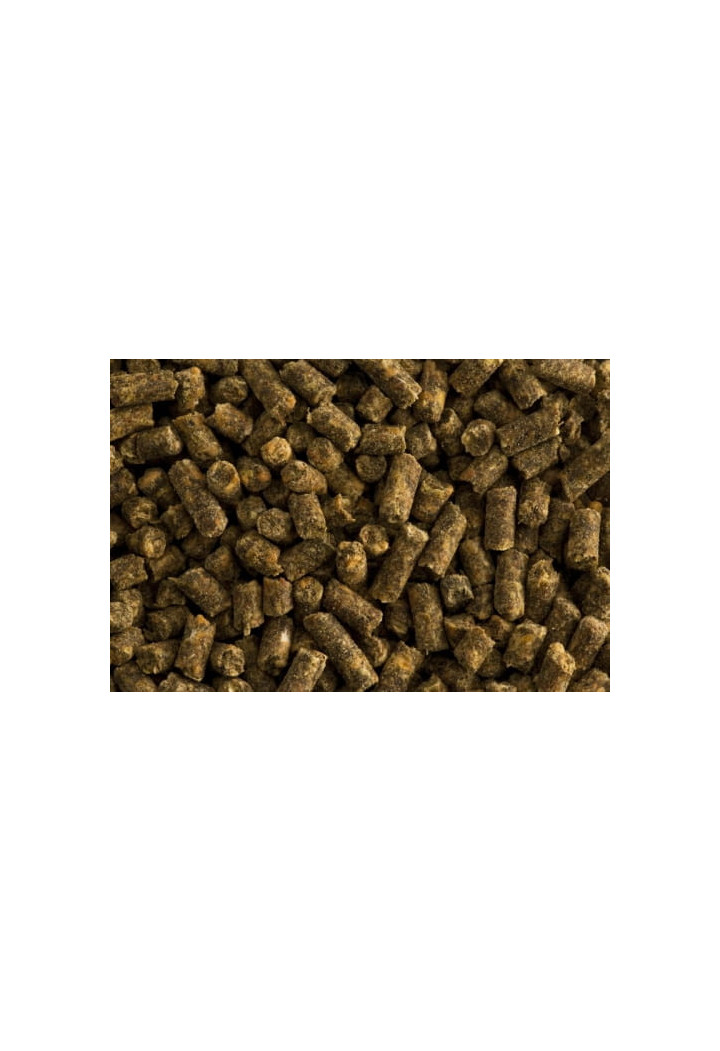 Witamina E z selenem ST.HIPPOLYT Vitamin E 1kg