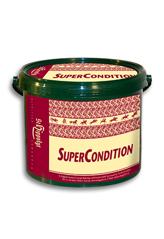 Pasza ST.HIPPOLYT Super Condition 10kg granulat