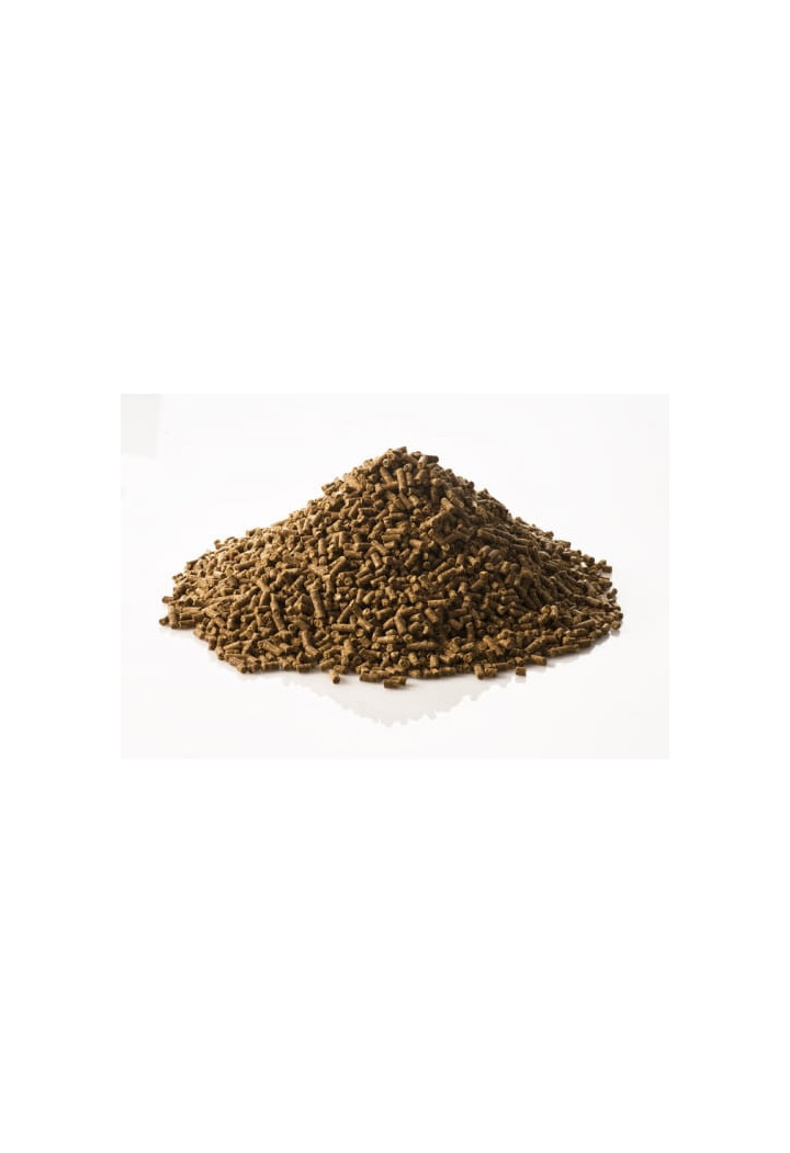 Pasza ST.HIPPOLYT Super Condition 20kg granulat
