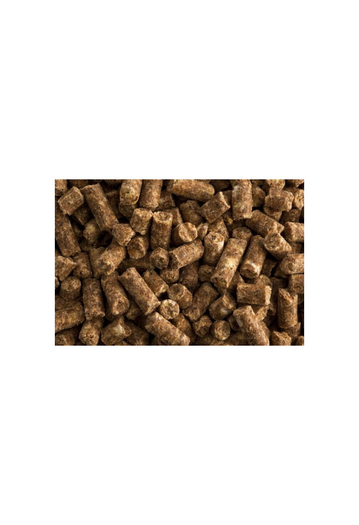 Pasza ST.HIPPOLYT Super Condition 20kg granulat