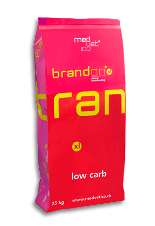 Pasza ST.HIPPOLYT Brandon XLClinical 25kg granulat