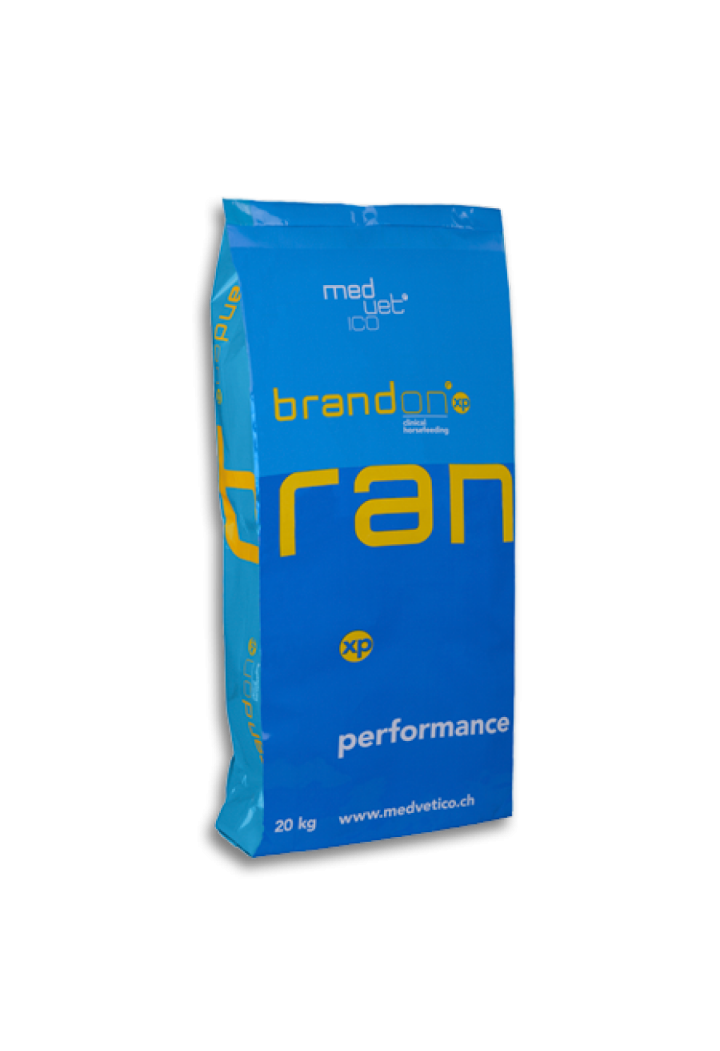 Pasza ST.HIPPOLYT Brandon XPClinical 20kg musli