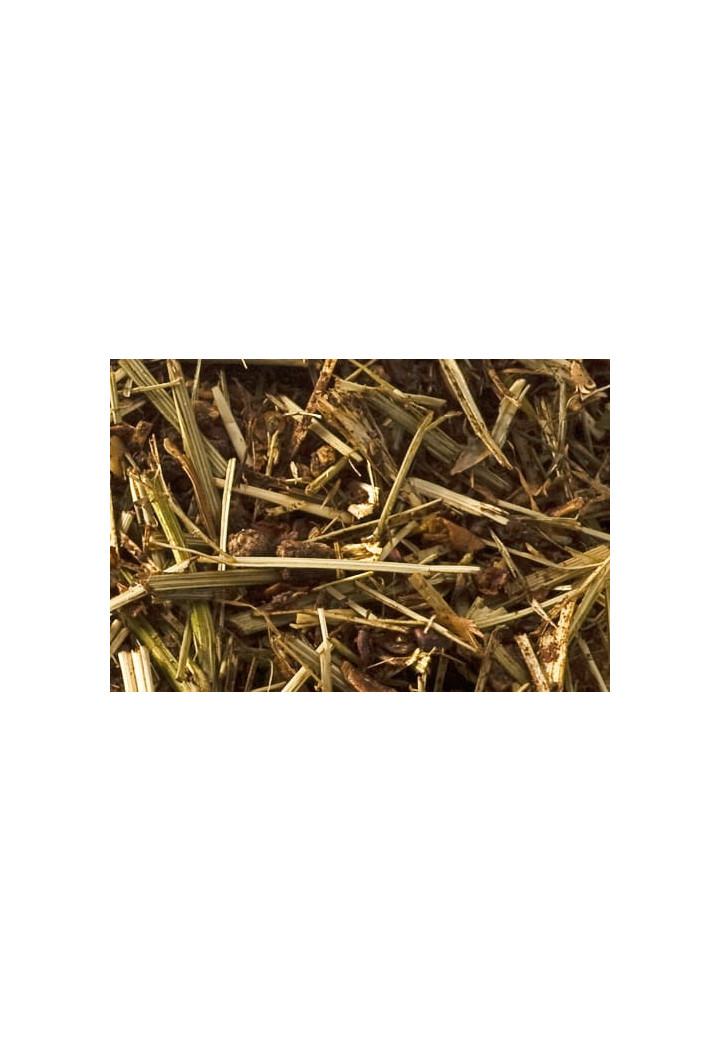 Pasza ST.HIPPOLYT Equigard 20kg musli