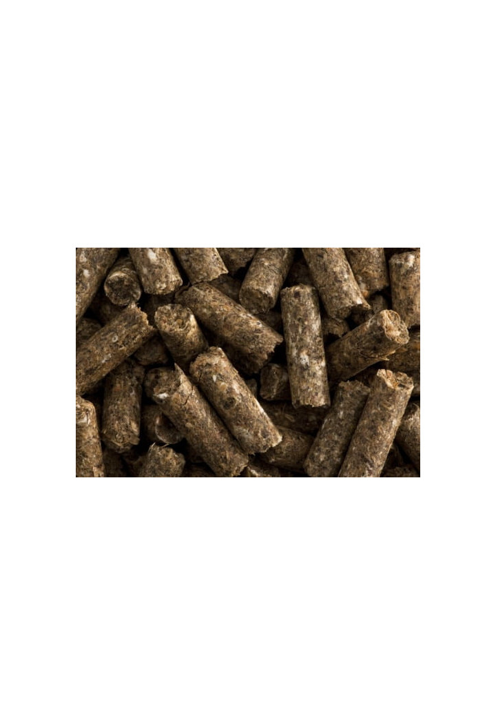 Pasza ST.HIPPOLYT La Rosslet Sport 25kg granulat