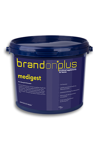 Pasza ST.HIPPOLYT BrandonPlusMedigest 3kg granulat