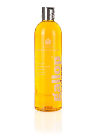 Szampon dla koni kasztanowatych C&D&M Gallop 500ml