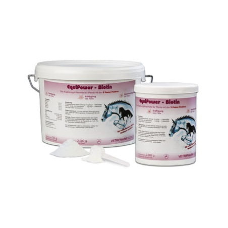 Biotyna EQUIPOWER Biotin 2kg