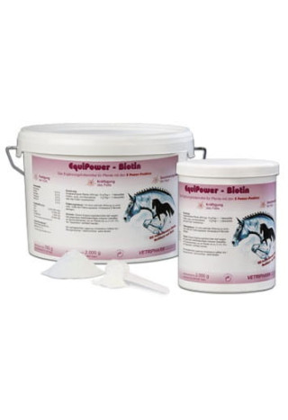 Biotyna EQUIPOWER Biotin 750g
