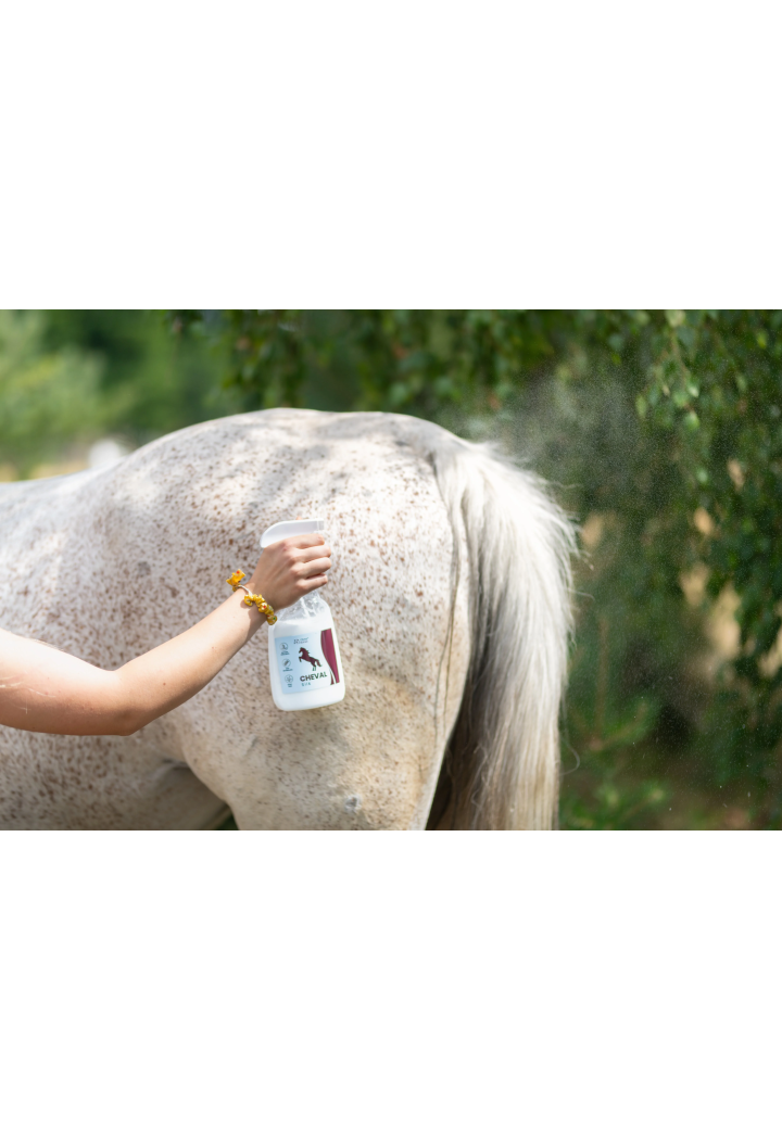 Odżywka do grzywy i ogona OH ChevaSilk 650ml spray