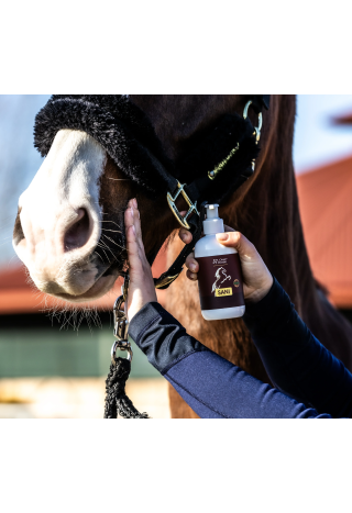 Balsam na otarcia OH SaniCreme 250g