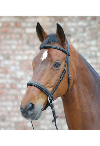 Ogłowie STAR Bitless bezwędzidłowe