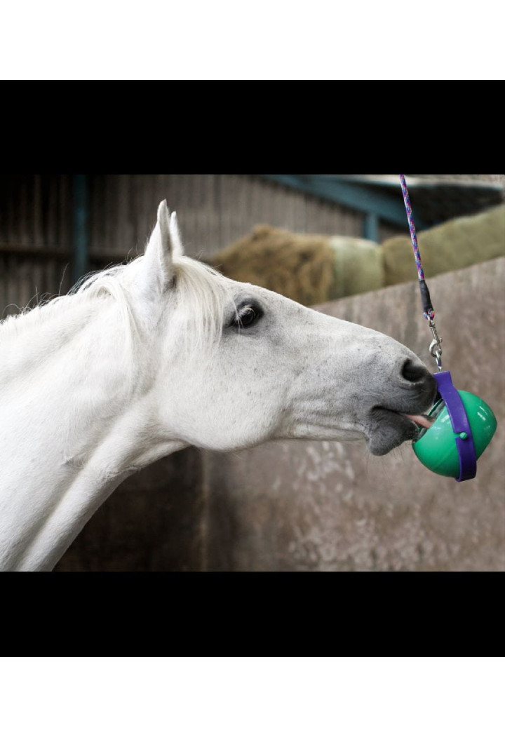 Uchwyt na lizawkę LIKIT BoredomBuster