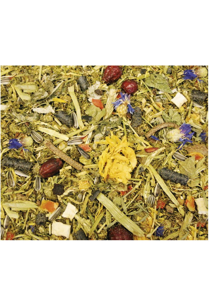 Pasza AGROBS AlpenGrun 15kg musli