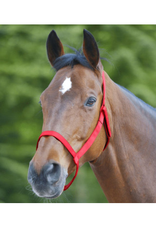 Kantar WALDHAUSEN Grazing