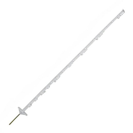 Palik CORRAL Titan 157cm 441801 podwójna stopka