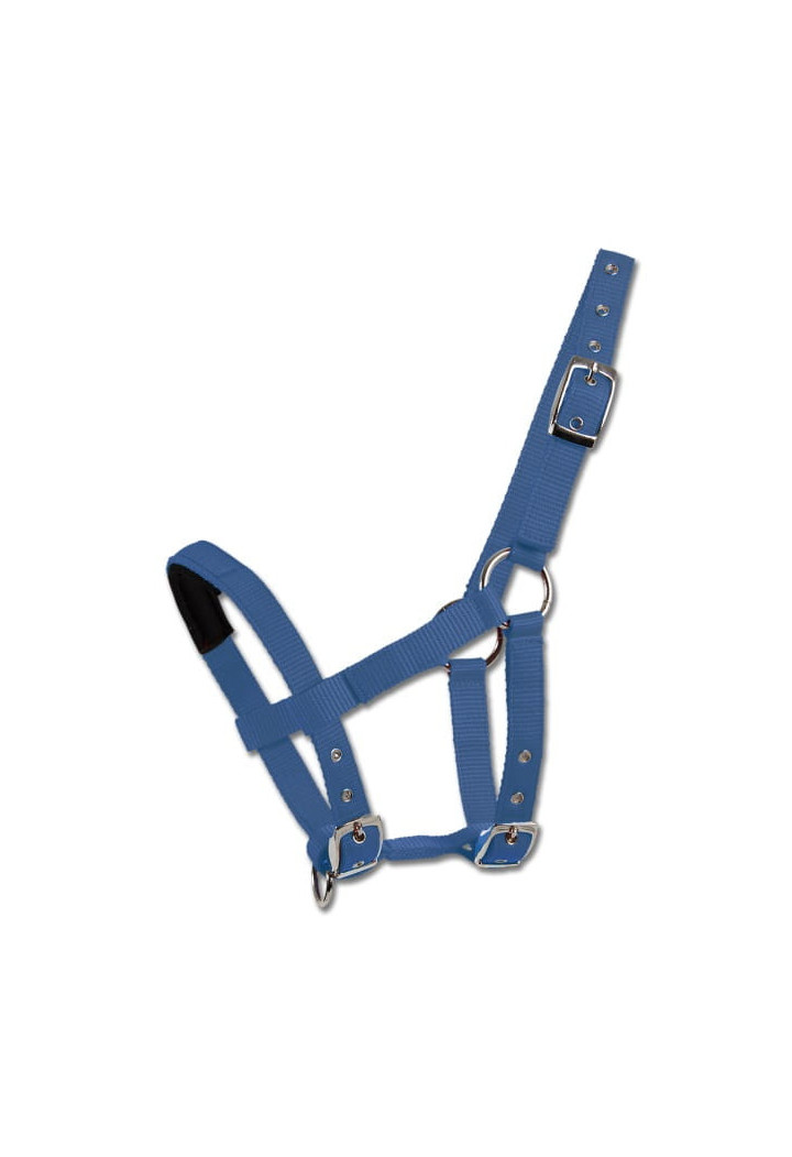 Kantar WALDHAUSEN MiniShetty