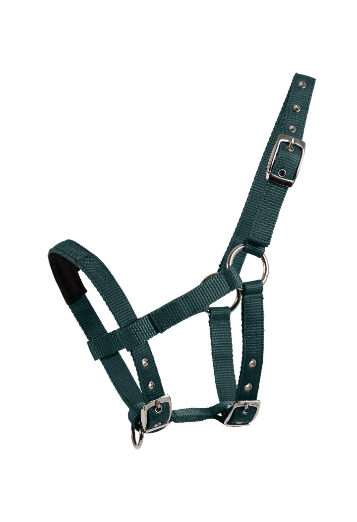 Kantar WALDHAUSEN MiniShetty