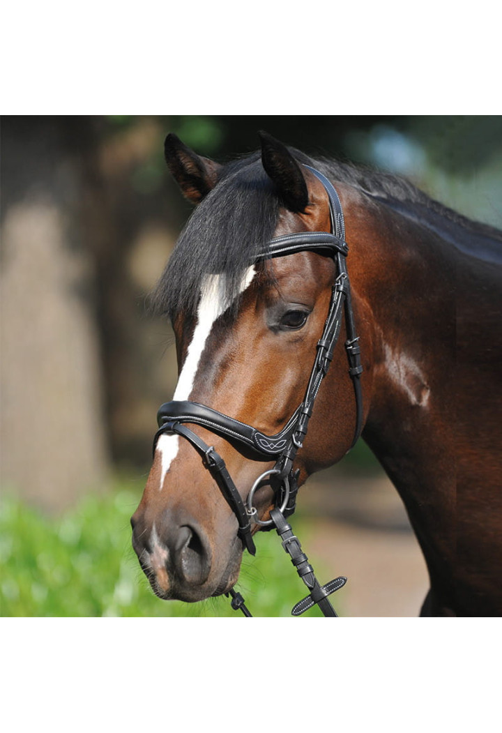 Ogłowie KAVALKADE Ivy