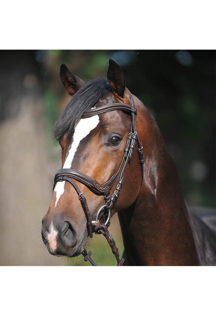 Ogłowie KAVALKADE Ivy