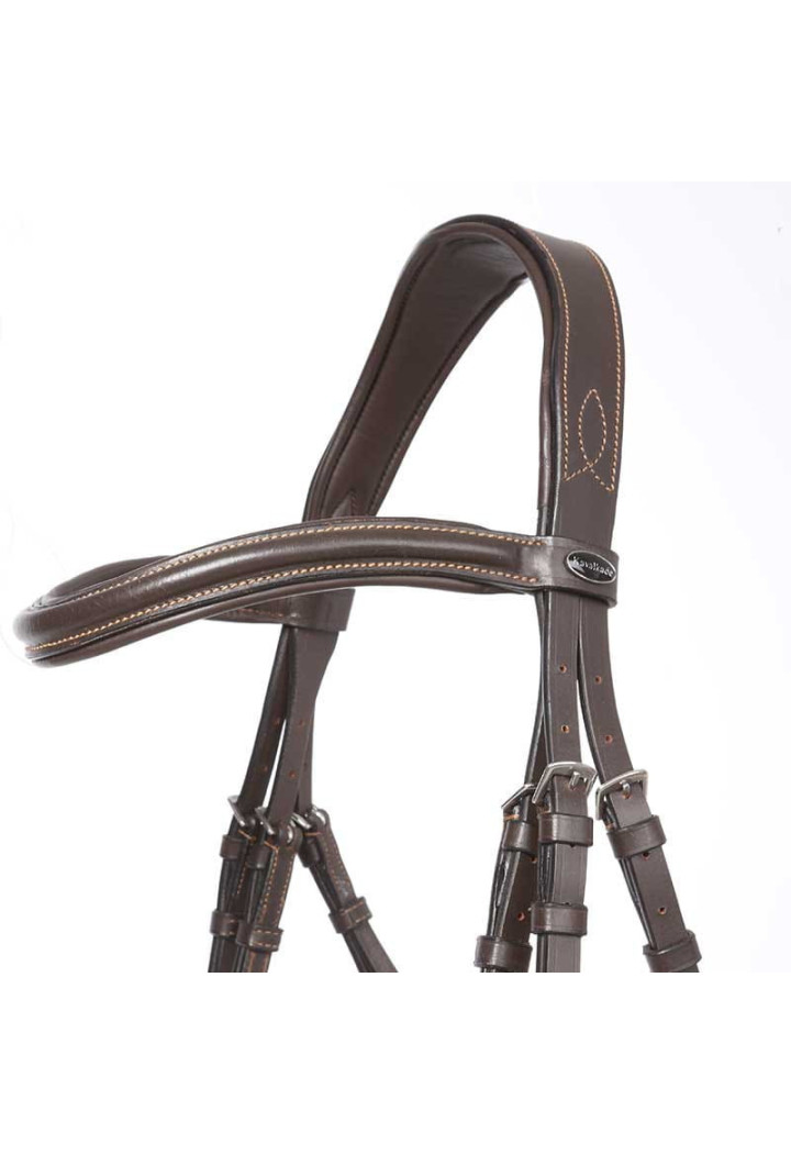 Ogłowie KAVALKADE Ivy