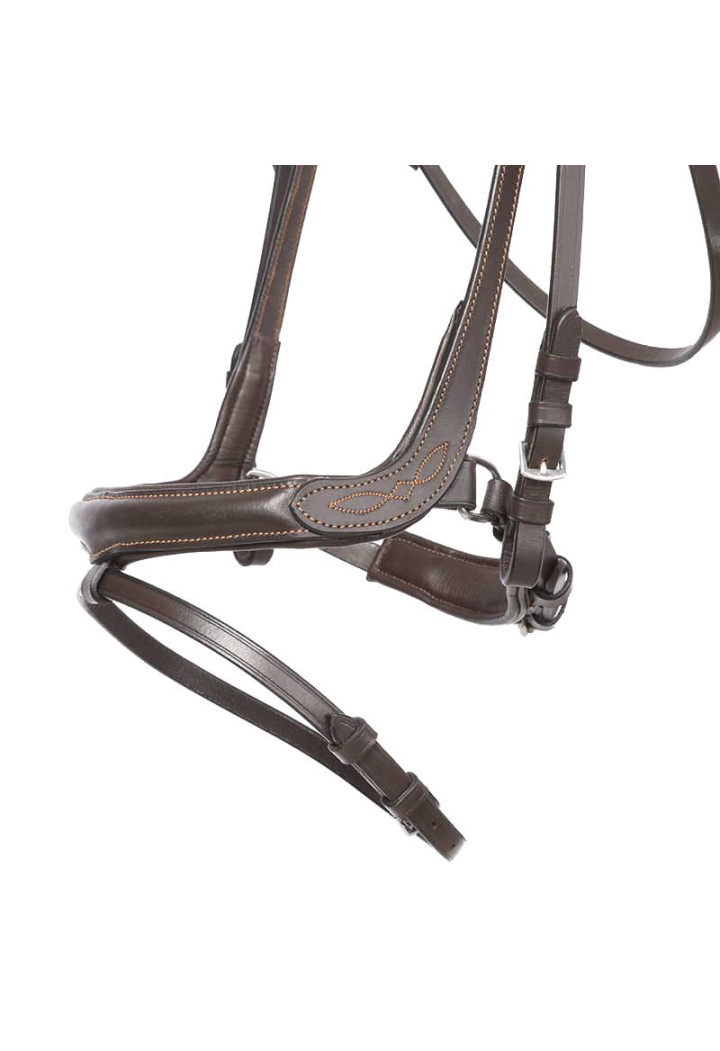 Ogłowie KAVALKADE Ivy