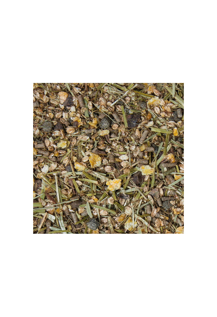 Pasza HOVELER Original AllInOne 20kg musli