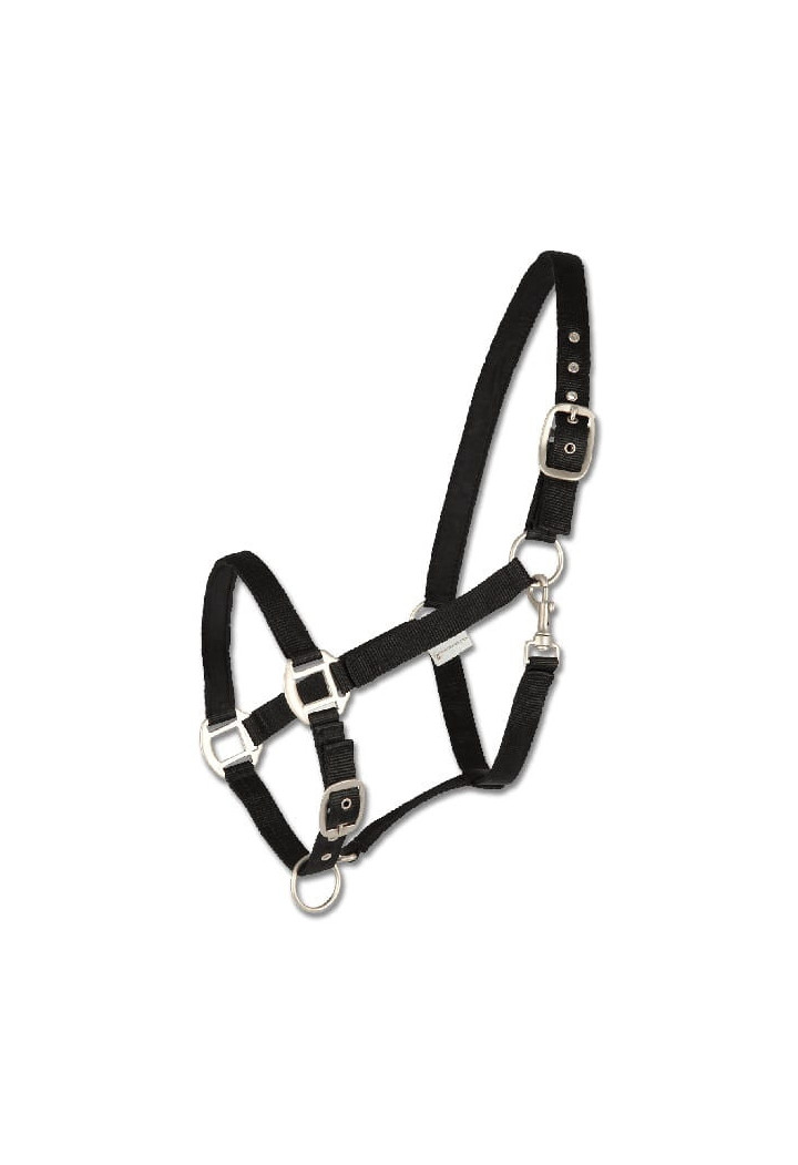 Kantar WALDHAUSEN Satin