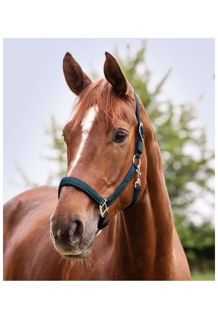 Kantar WALDHAUSEN Satin