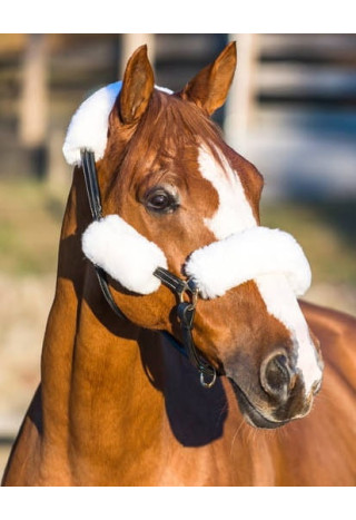 Futerka na kantar HORZE zestaw 4szt