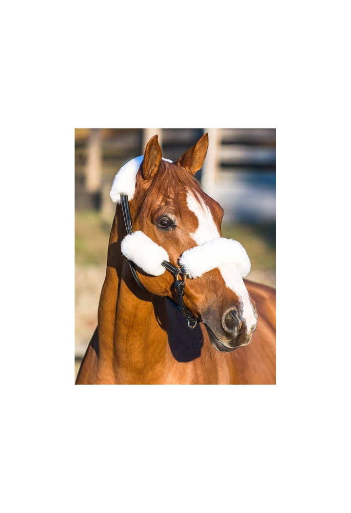 Futerka na kantar HORZE zestaw 4szt