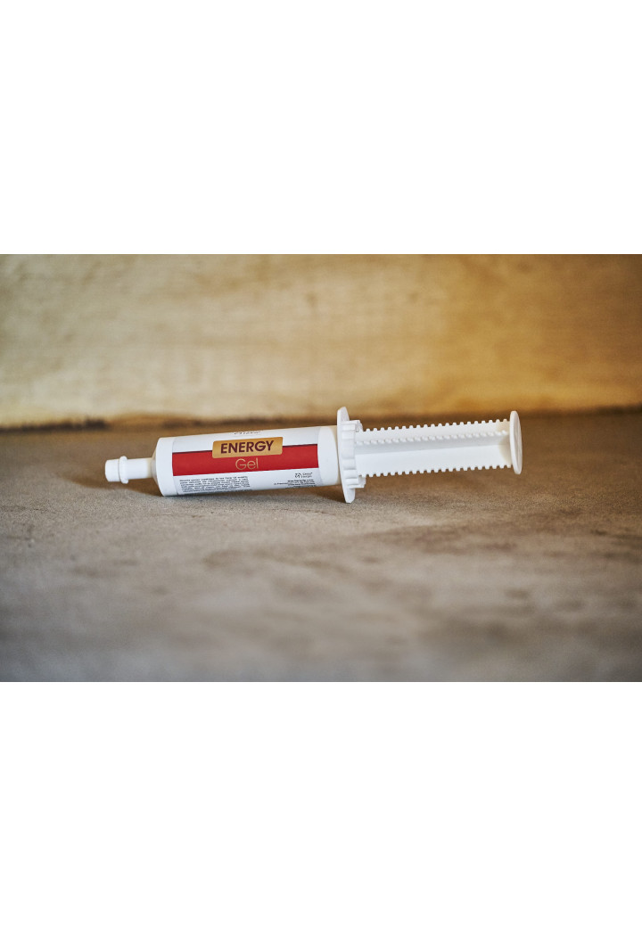 Mieszanka paszowa OH Energy Gel 100ml