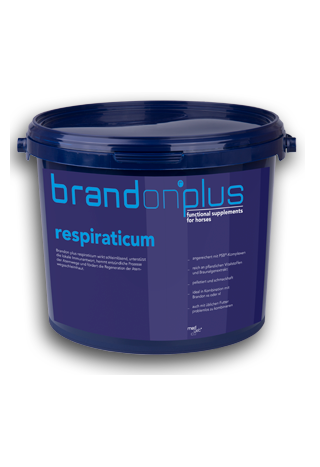 Suplement ST.HIPPOLYT Respiraticum 3kg granulat