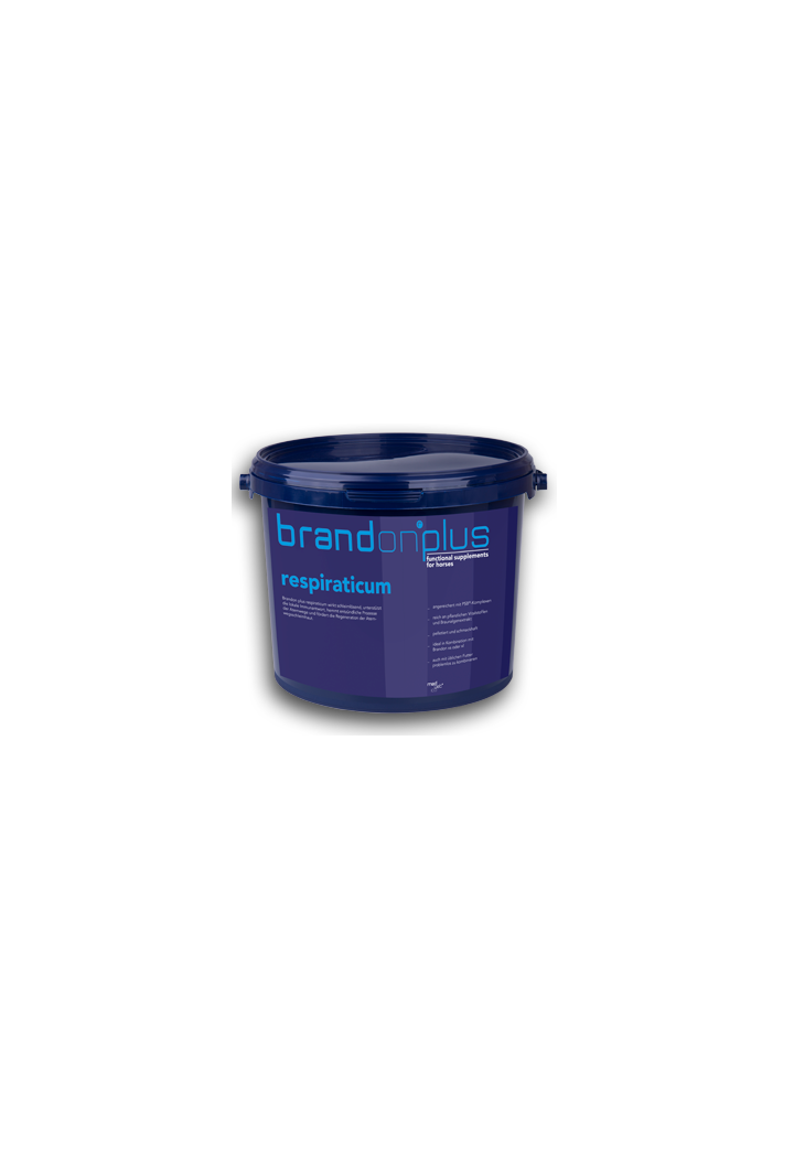 Suplement ST.HIPPOLYT Respiraticum 3kg granulat
