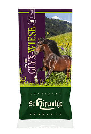 Pasza ST.HIPPOLYT Glyx-Wiese Seniorfaser
