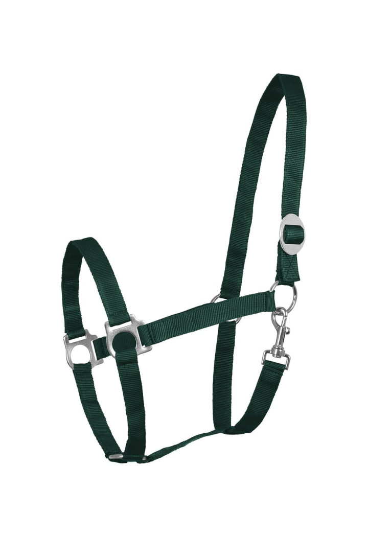 Kantar WALDHAUSEN Perlon