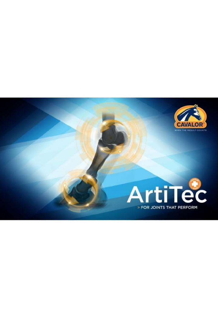Preparat przeciwzapalny CAVALOR ArtiTec 2000ml