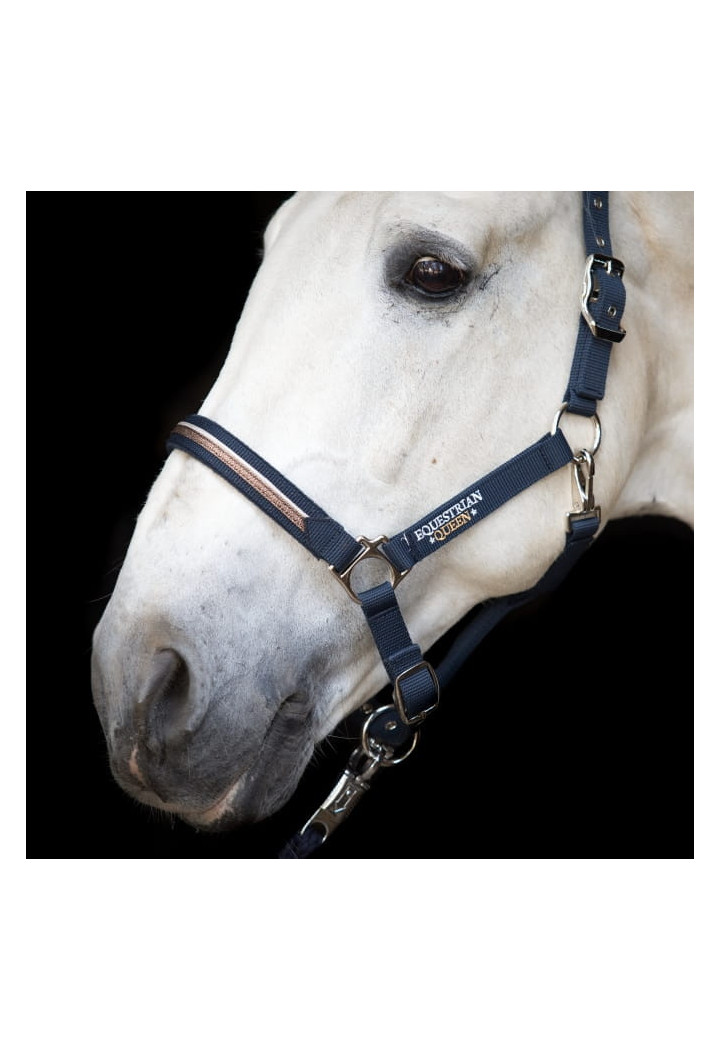 Kantar EQ.QUEEN Paris