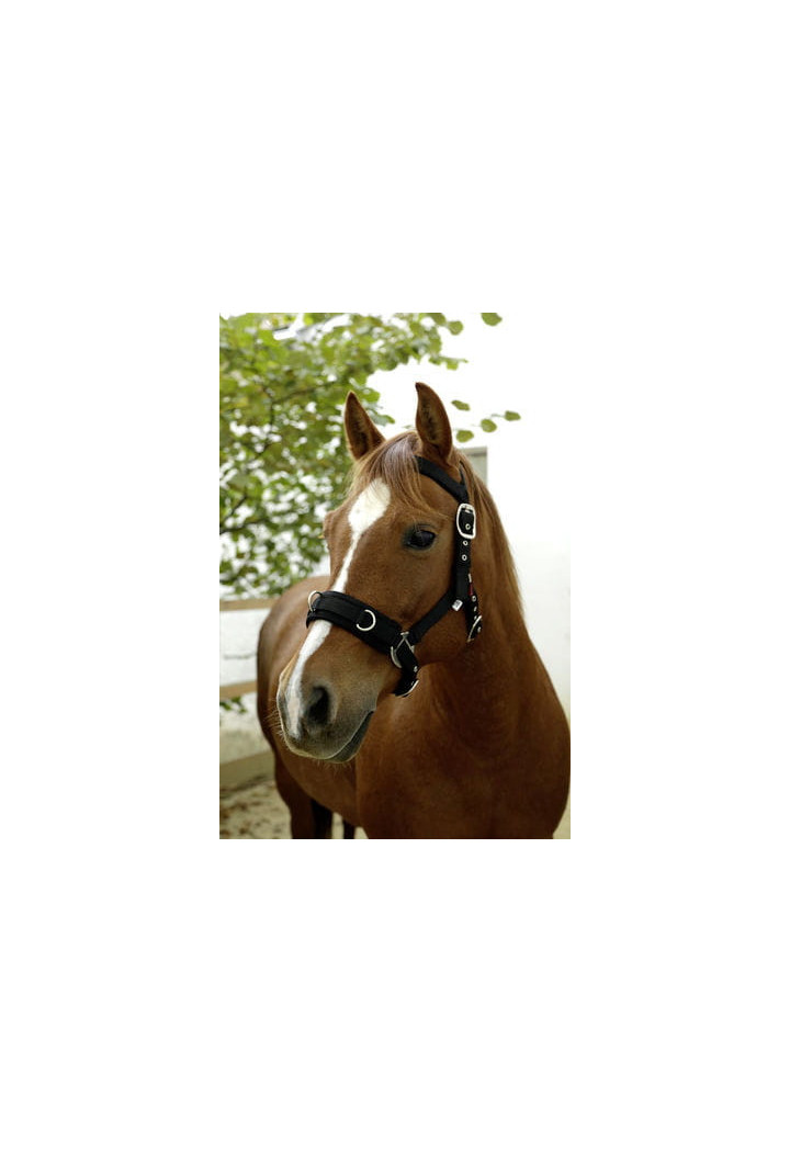 Kawecan KERBL Plastic