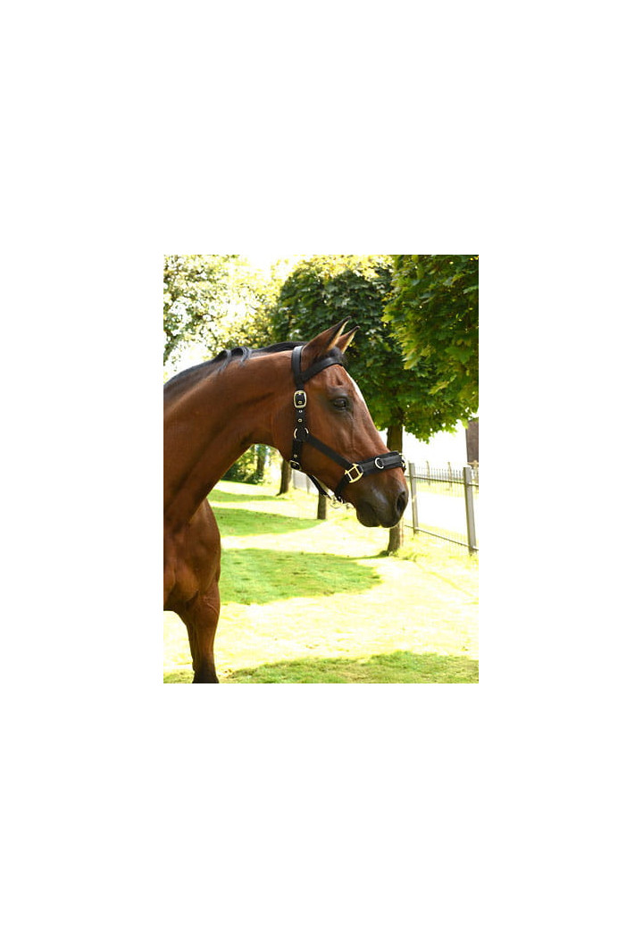 Kawecan KERBL Plastic