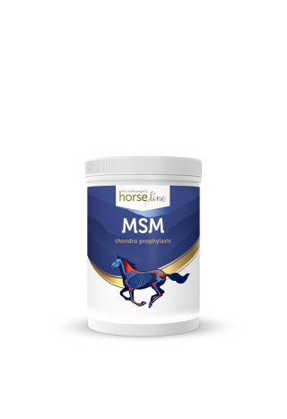 Suplement na stawy HORSE LINE MSM 700g