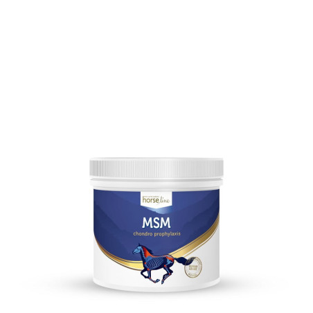 Suplement na stawy HORSE LINE MSM 500g