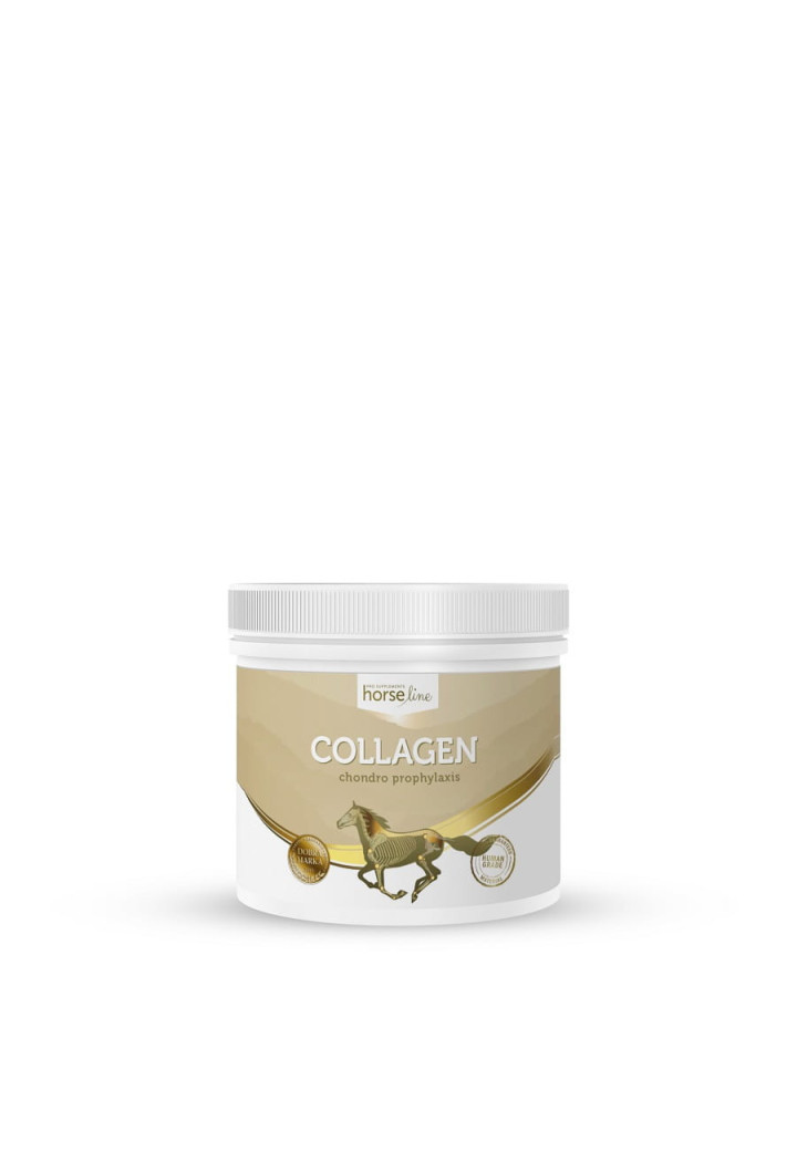 Suplement na stawy HORSE LINE Kolagen 300g