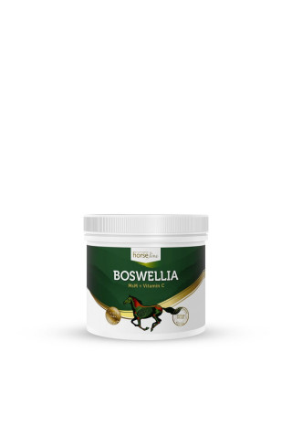 Suplement na stawy HORSE LINE Boswellia 500g