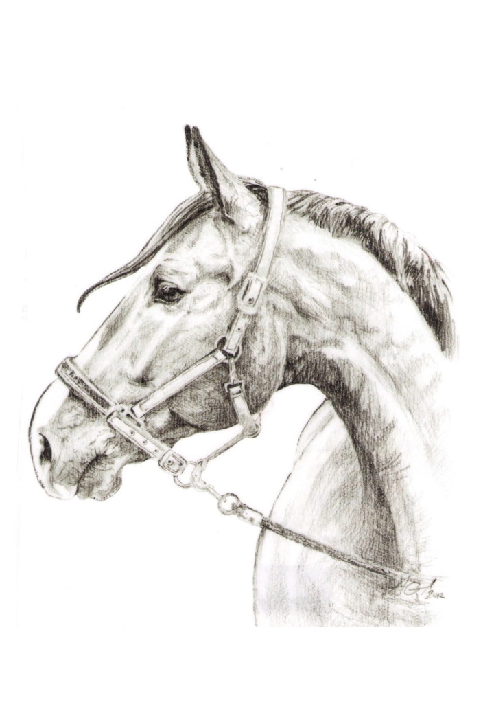 Naklejka na samochód DO STAJNI rysunek 1 black