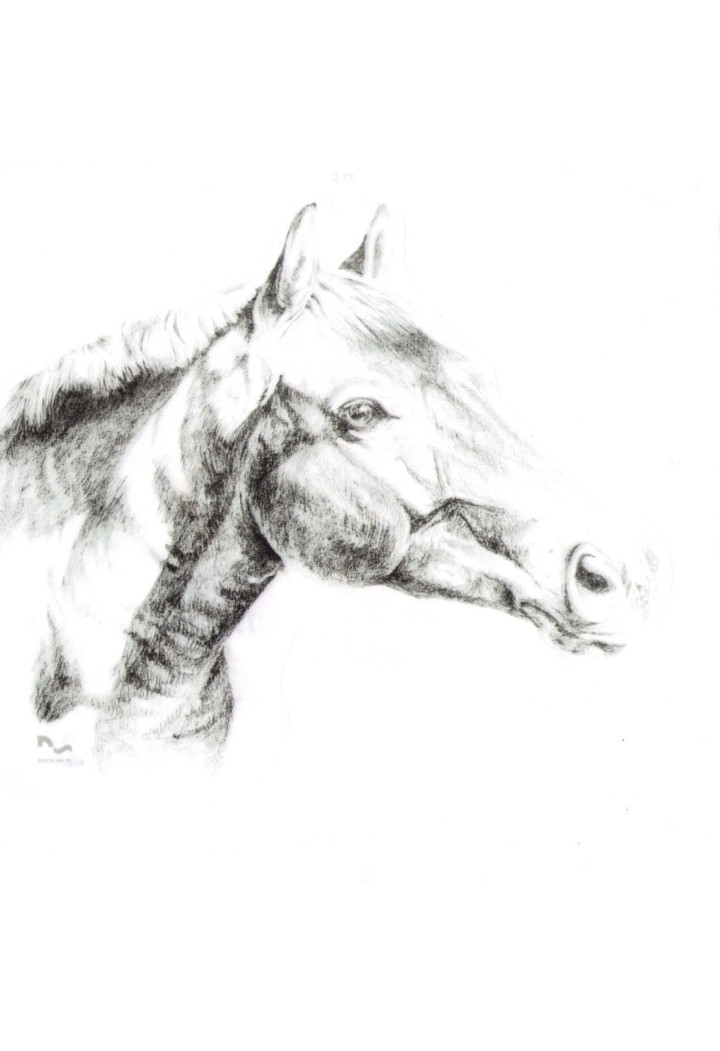 Naklejka na samochód DO STAJNI rysunek 2 black