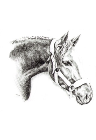 Naklejka na samochód DO STAJNI rysunek 3 black