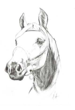 Naklejka na samochód DO STAJNI rysunek 4 black