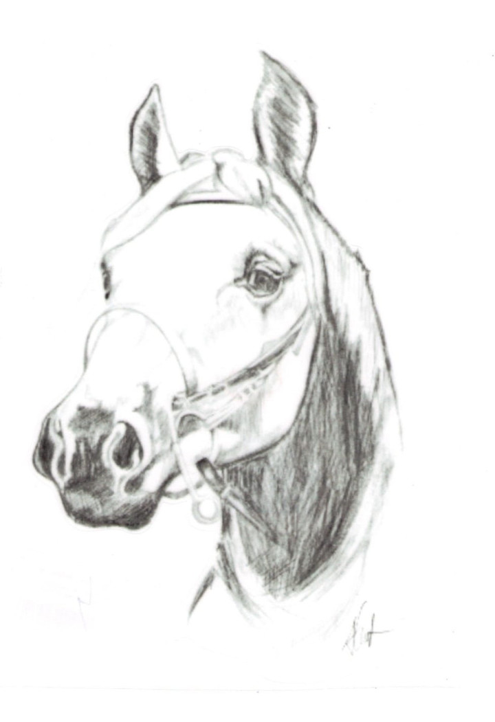 Naklejka na samochód DO STAJNI rysunek 4 black