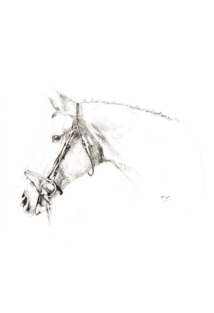 Naklejka na samochód DO STAJNI rysunek 6 black