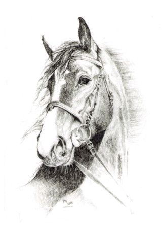 Naklejka na samochód DO STAJNI rysunek 7 black